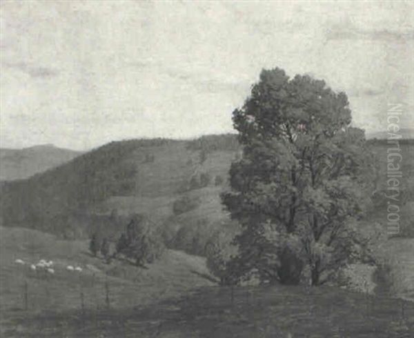 Serene Hillside - view 1
