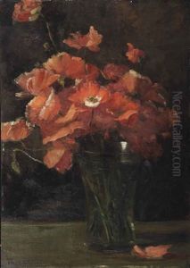 Papavers Papavers