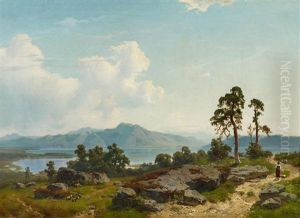 Sommertag Am Chiemsee