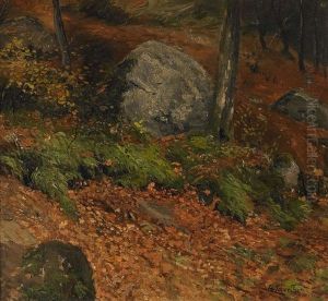Zyklopensteine Im Aachener Wald