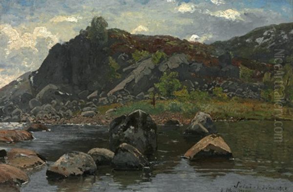 Norwegische Kustenlandschaft Auf Der Insel Svinor - view 1