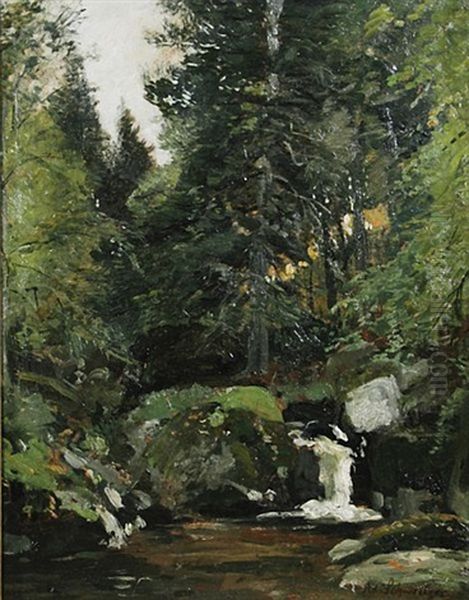 Bachlauf Im Wald - view 1