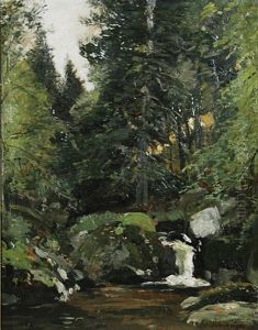 Bachlauf Im Wald