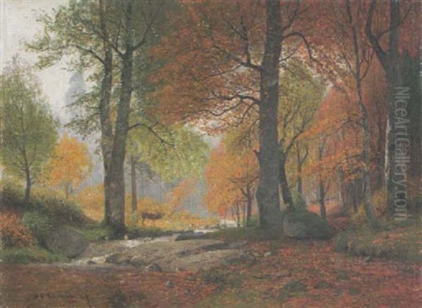 Lichter Herbstwald Mit Hirsch - view 1