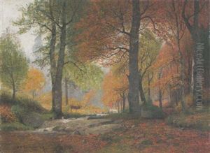Lichter Herbstwald Mit Hirsch