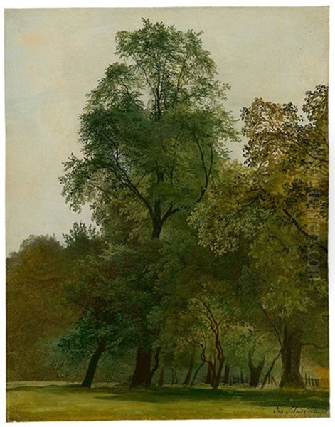 Baume Im Wiener Prater - view 1