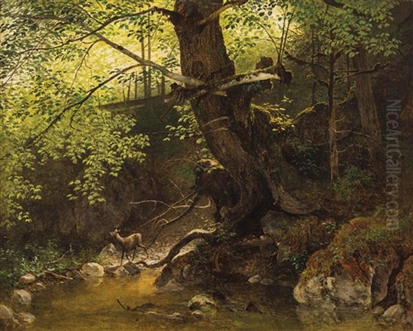 Rehbock Am Waldbach - view 1