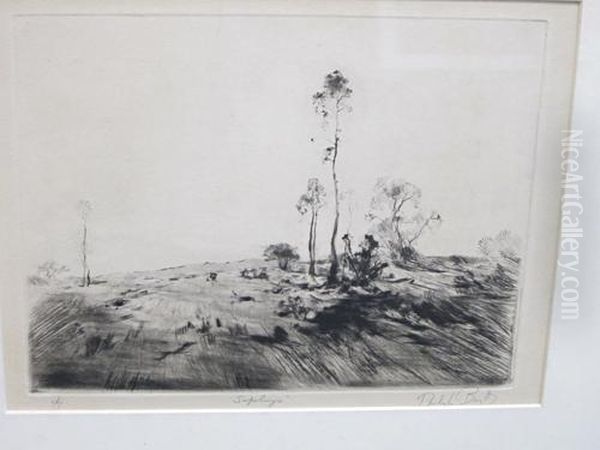 Saplings - view 1