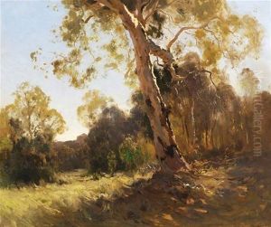 Bushland
