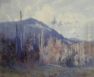 The Blue Haze by Theodore Penleigh Boyd