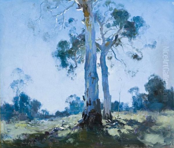 The White Gum - view 1