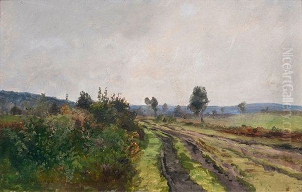 Feldweg - view 1