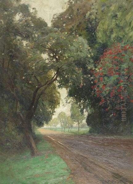 Allee In Der Heide - view 1
