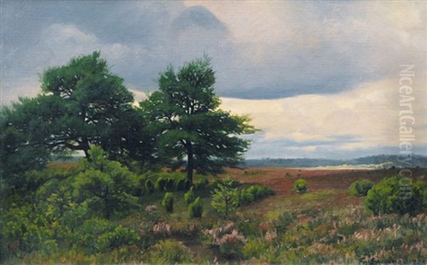 The Luneburg Heath Near Wilsede - view 1