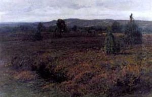 Bluhende Heidelandschaft by Friedrich Wilhelm Schwinge