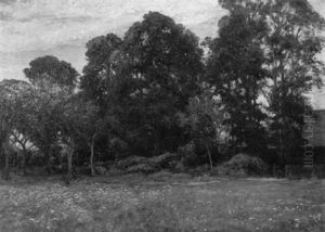 Landschaft Mit Blumenwiese Und Baumgruppe