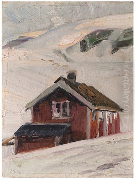 Cabin Near Hotel Djupvasshytta - view 1