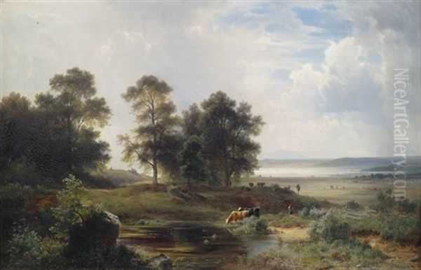 Weite Voralpenlandschaft Mit Kuhen An Einem Gewasser - view 1