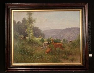 Rehrudel Auf Lichtung