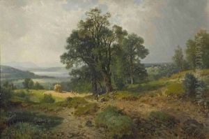 Sommerlandschaft Mit Blick Auf Den Pilsensee