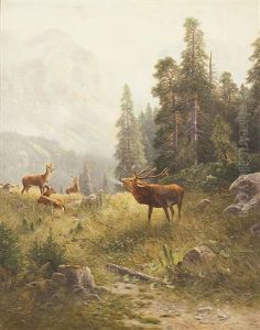 Gebirgslandschaft Mit Hirsch In Der Brunft