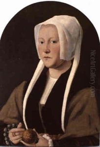 Portrait De Femme by Jan Van Scorel