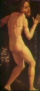 Adam by Jan Van Scorel