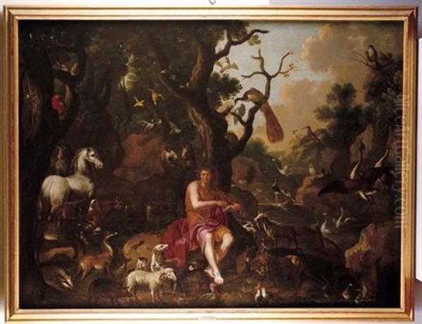 Orfeo E Gli Animali - view 1