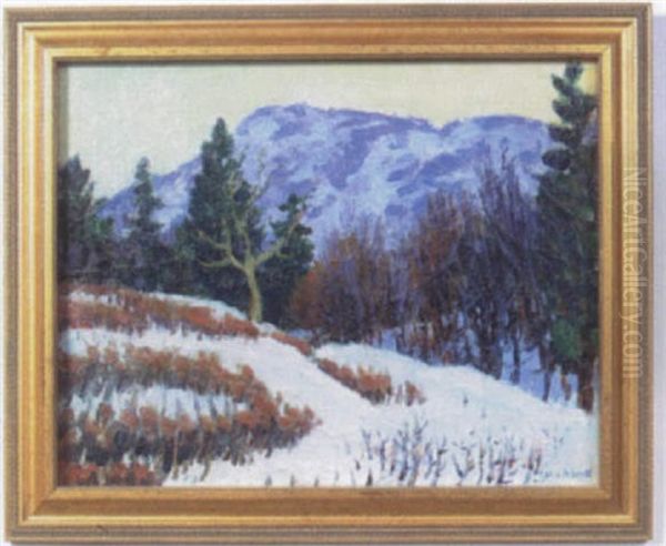 Snowy Mountainous Landscape - view 1