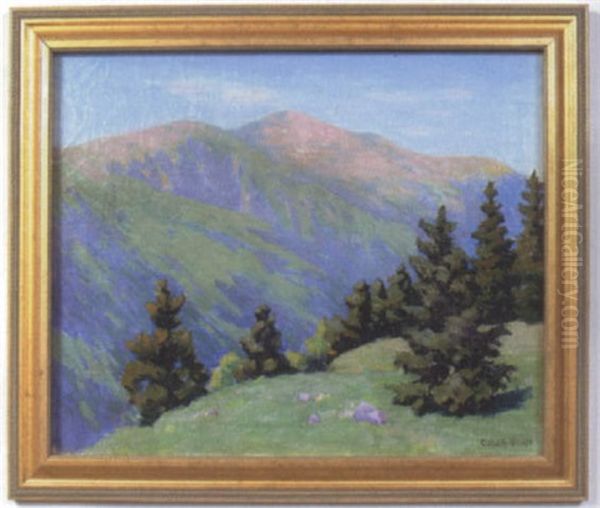 Summer In The Mountains - view 1