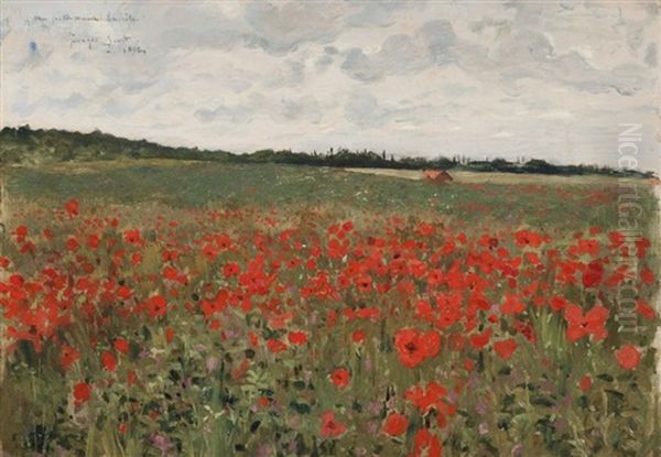 Champs De Coquelicots - view 1