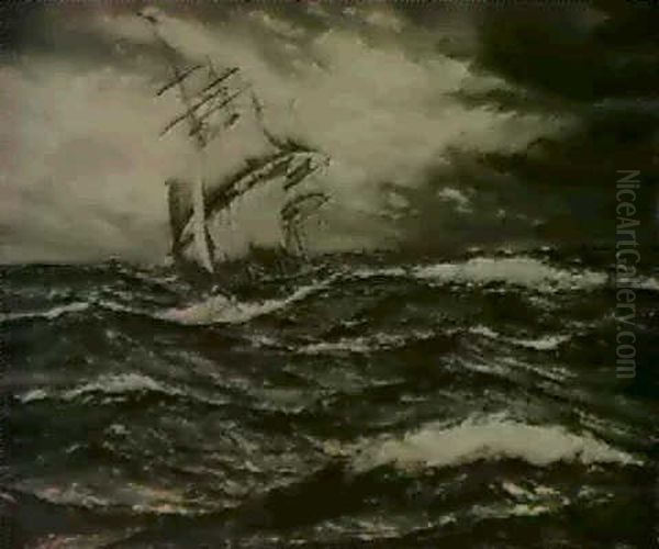 Sailing In Stormy Seas - view 1