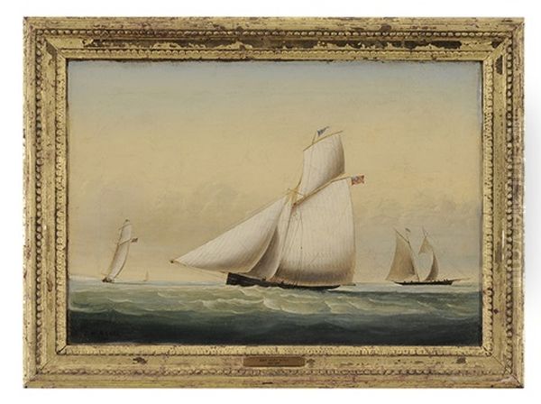Schooner At Full Sail - view 1