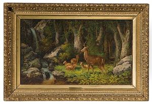 The Woodlands