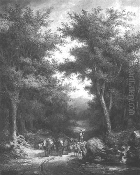 Herder With Livestock On A Wooded Road - view 1