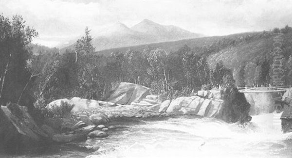 Spring In The White Mountains - view 1