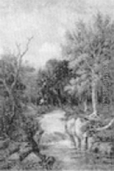 Trout Brook, Moat Mountain, N.h. - view 1