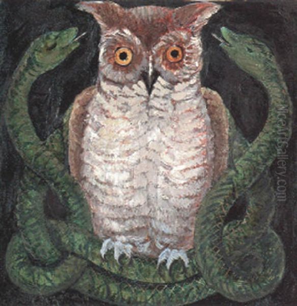 An Owl - view 1