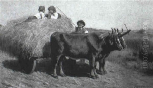 The Young Hayride - view 1