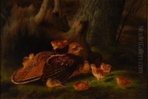 Ruffed Grouse With Chicks by James Long Scudder