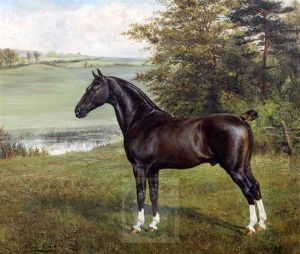 A Black Hunter In A Landscape 'mckinley 6475' by Allen Culpepper Sealy