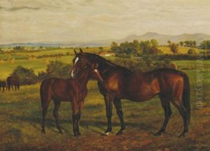 Morganette And Foal by Allen Culpepper Sealy