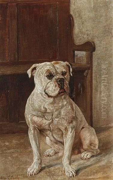Seated White Bulldog - view 1