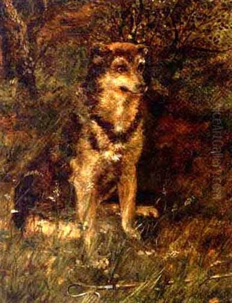 A Dog In A Wood - view 1