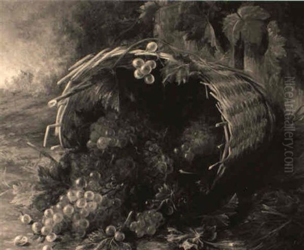 Bountiful Grapes In A Fallen Basket - view 1