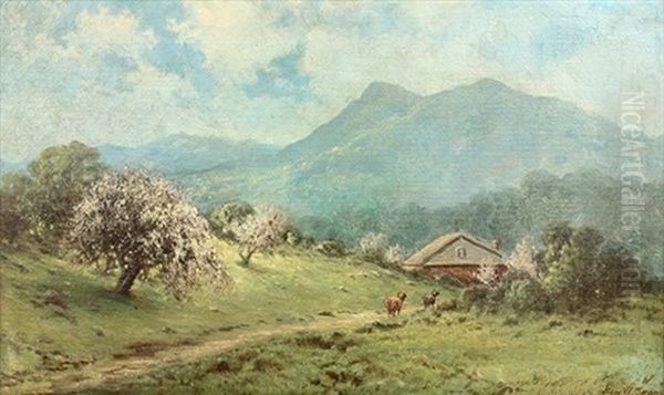 Springtime, Mount Tamalpais, California - view 1
