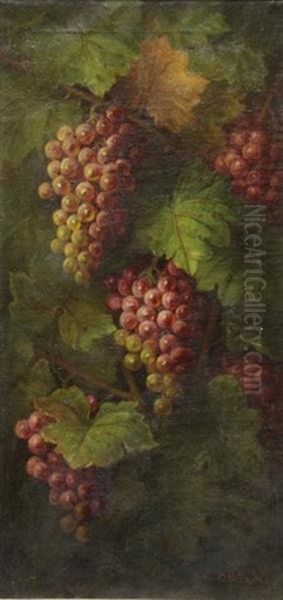 Grapes On A Vine - view 1