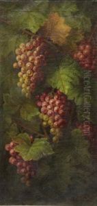 Grapes On A Vine thumbnail