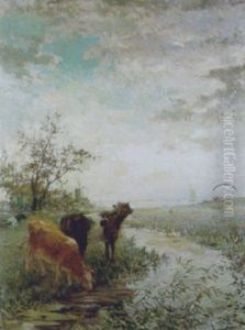 Zomer In Polders