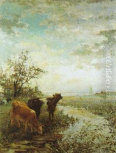 Zomer In De Polders